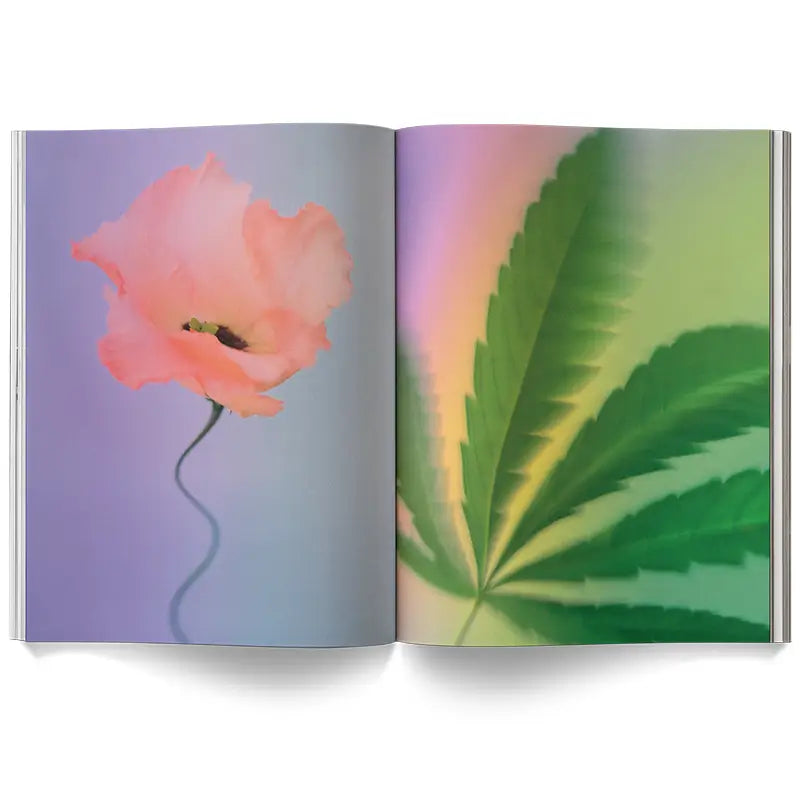 Broccoli Magazine A Weed Is A Flower Book