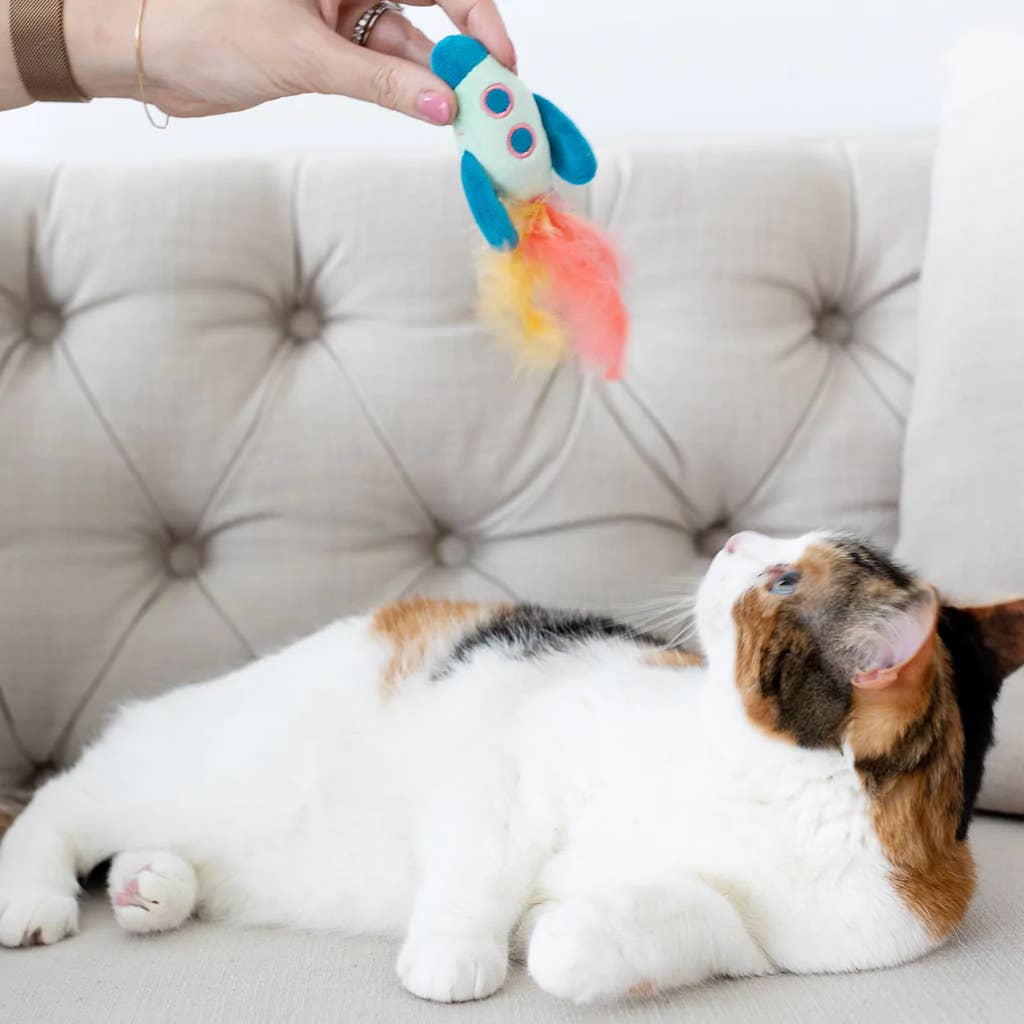 Space Ship Cat Toy