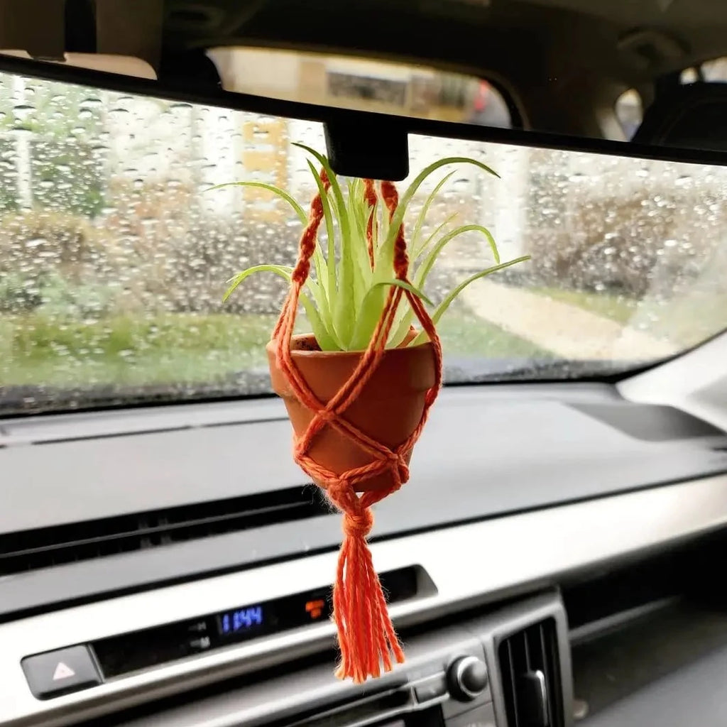 Macrame Car Cham With Faux OR Real Air Plant