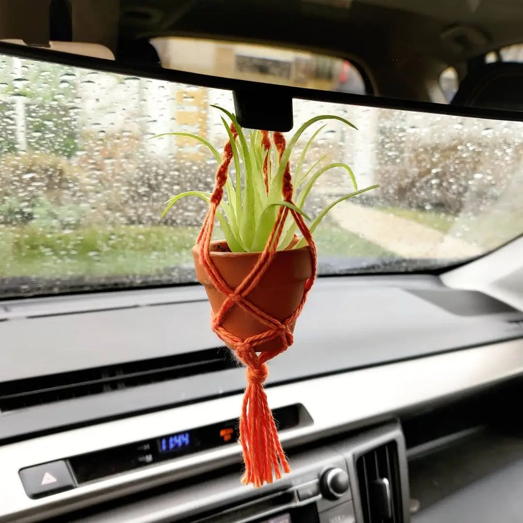 Macrame Car Cham With Faux OR Real Air Plant