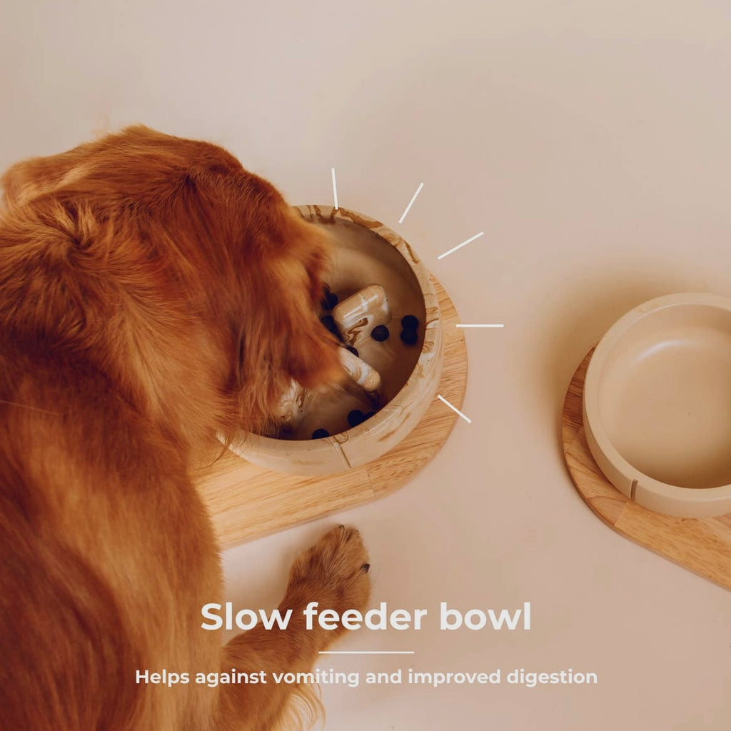 Slow Feeder Marble Pet Food Bowl