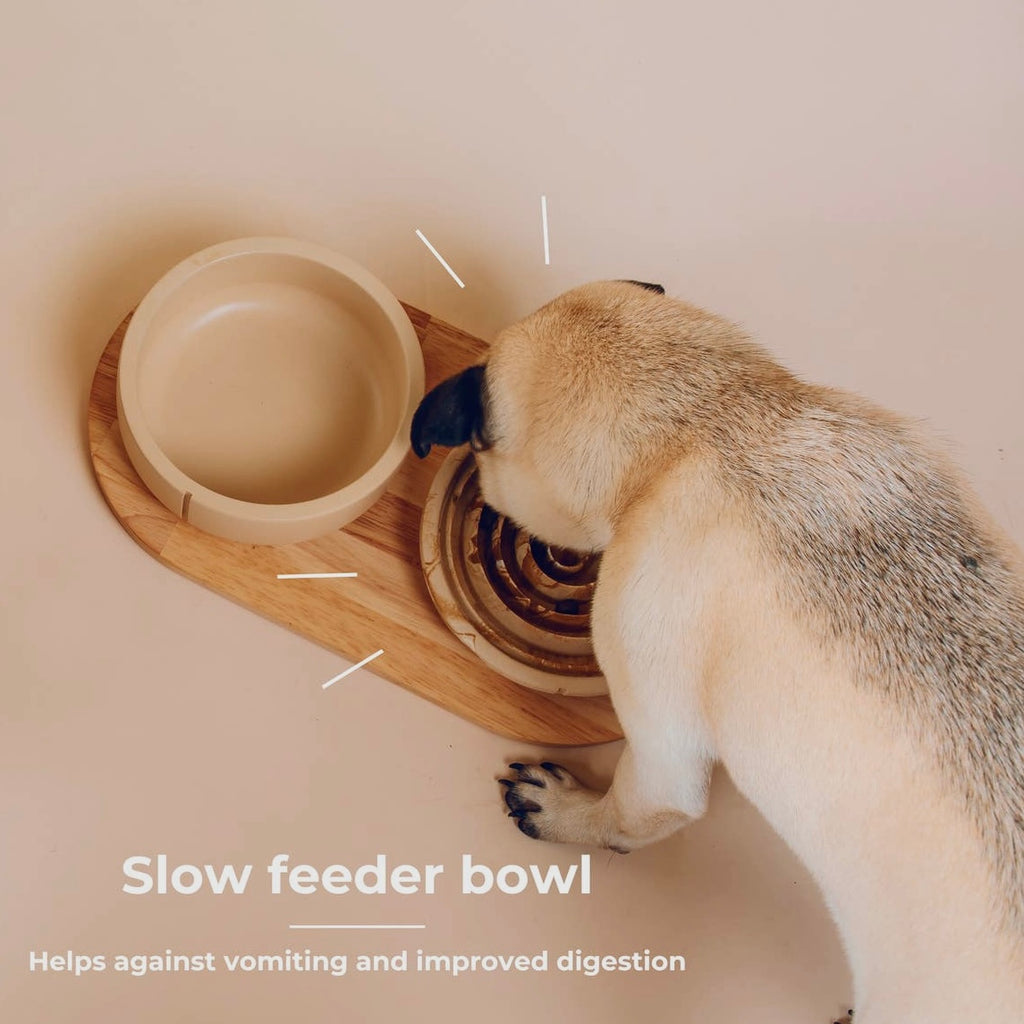 Slow Feeder Marble Pet Food Bowl