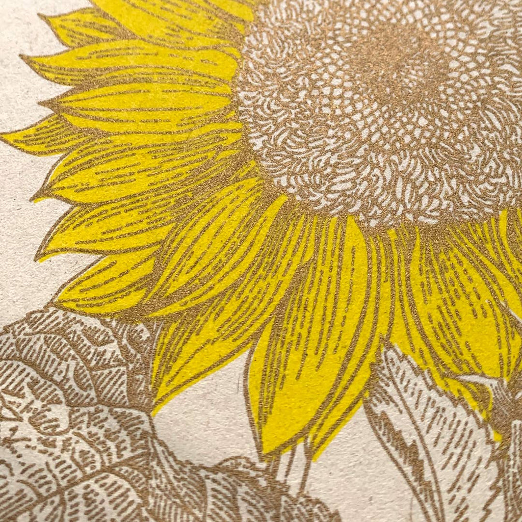Sunflower Eco Risography Postcard