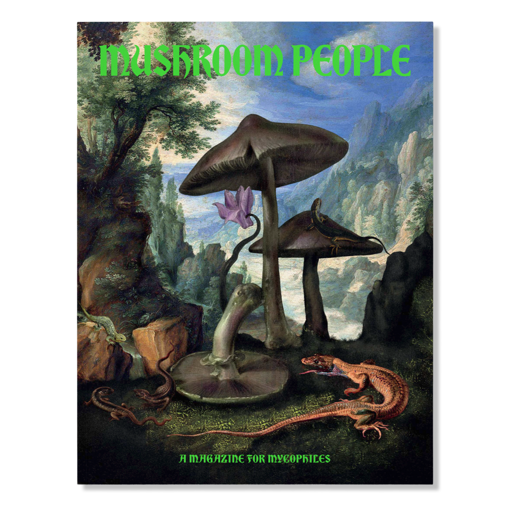 Broccoli Magazine Mushroom People