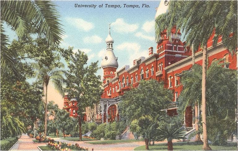 University of Tampa Card