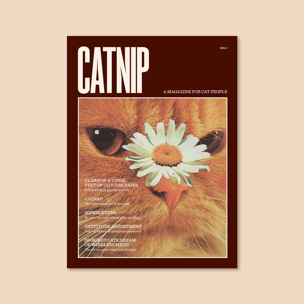 Broccoli Catnip Magazine