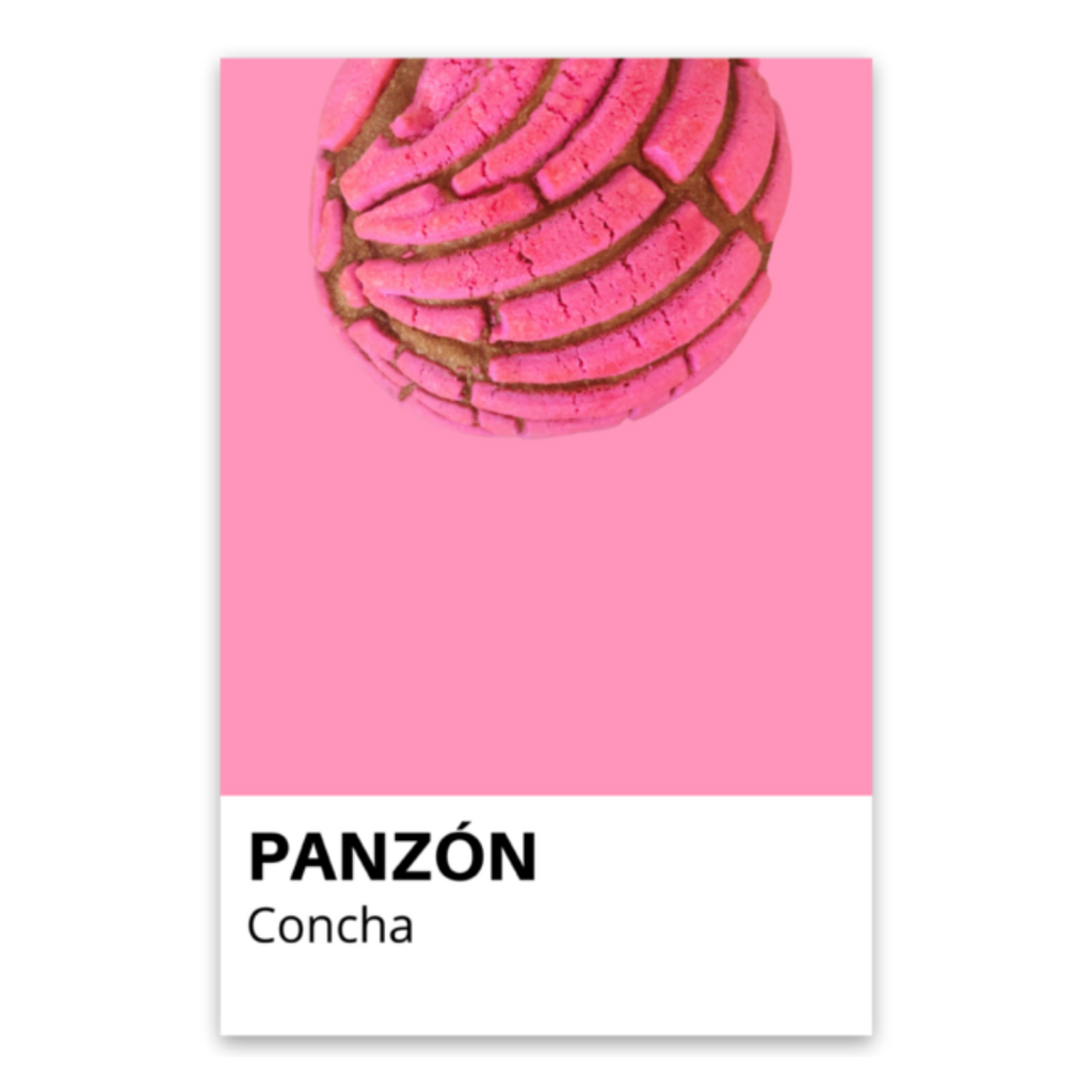 Concha Panzón Sticker