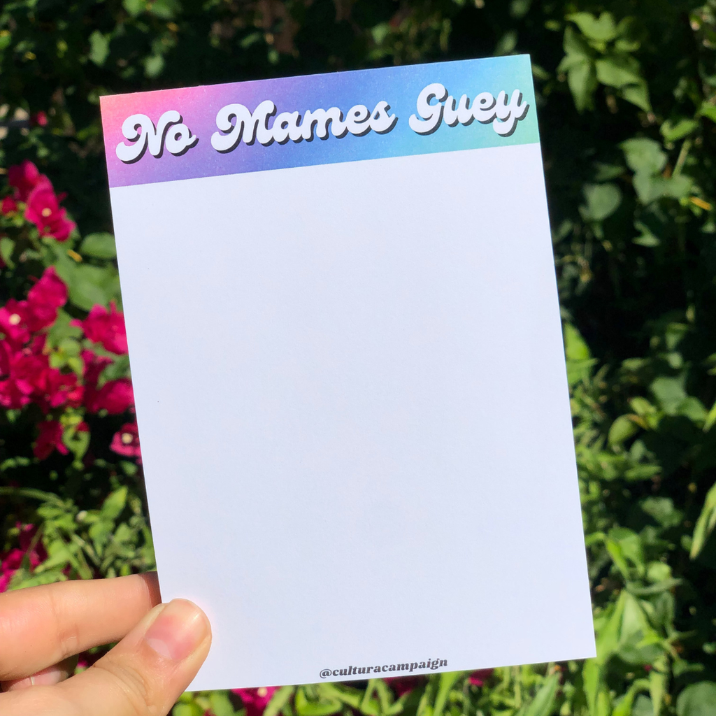 No Mames Guey / No Way Dude Notepad