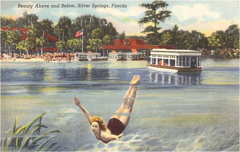 Woman Swimmer, Silver Springs, Florida Card