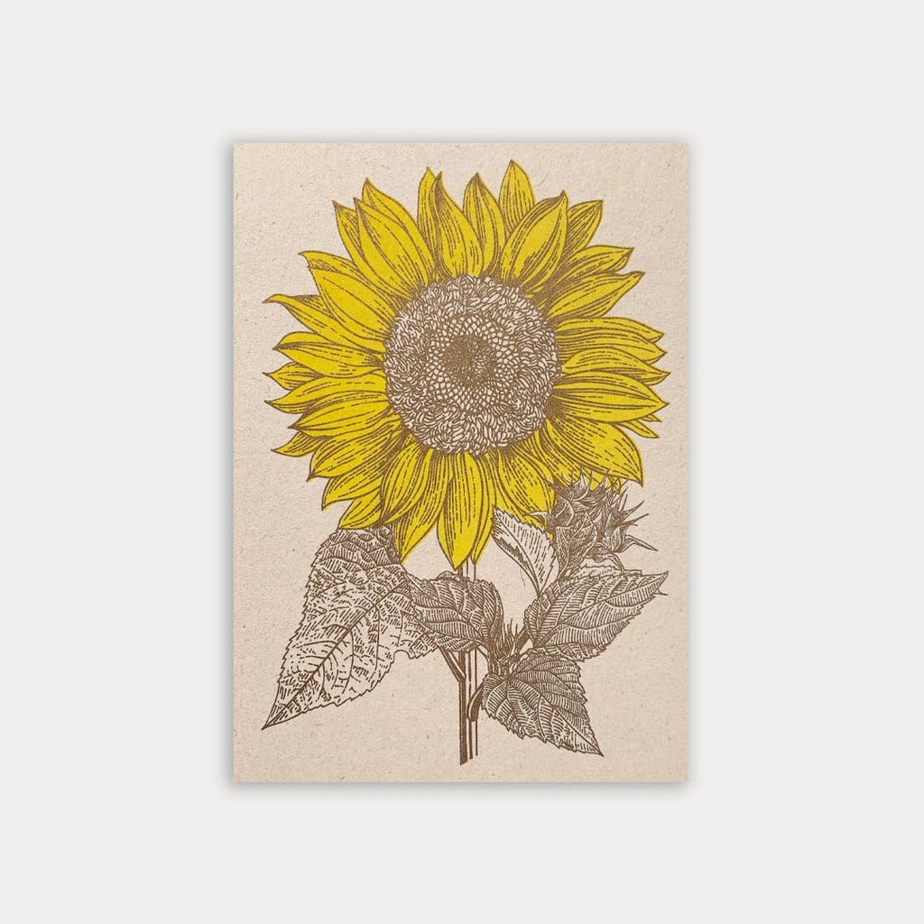 Sunflower Eco Risography Postcard
