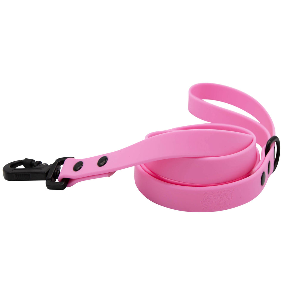Waterproof Dog Leash - Pink
