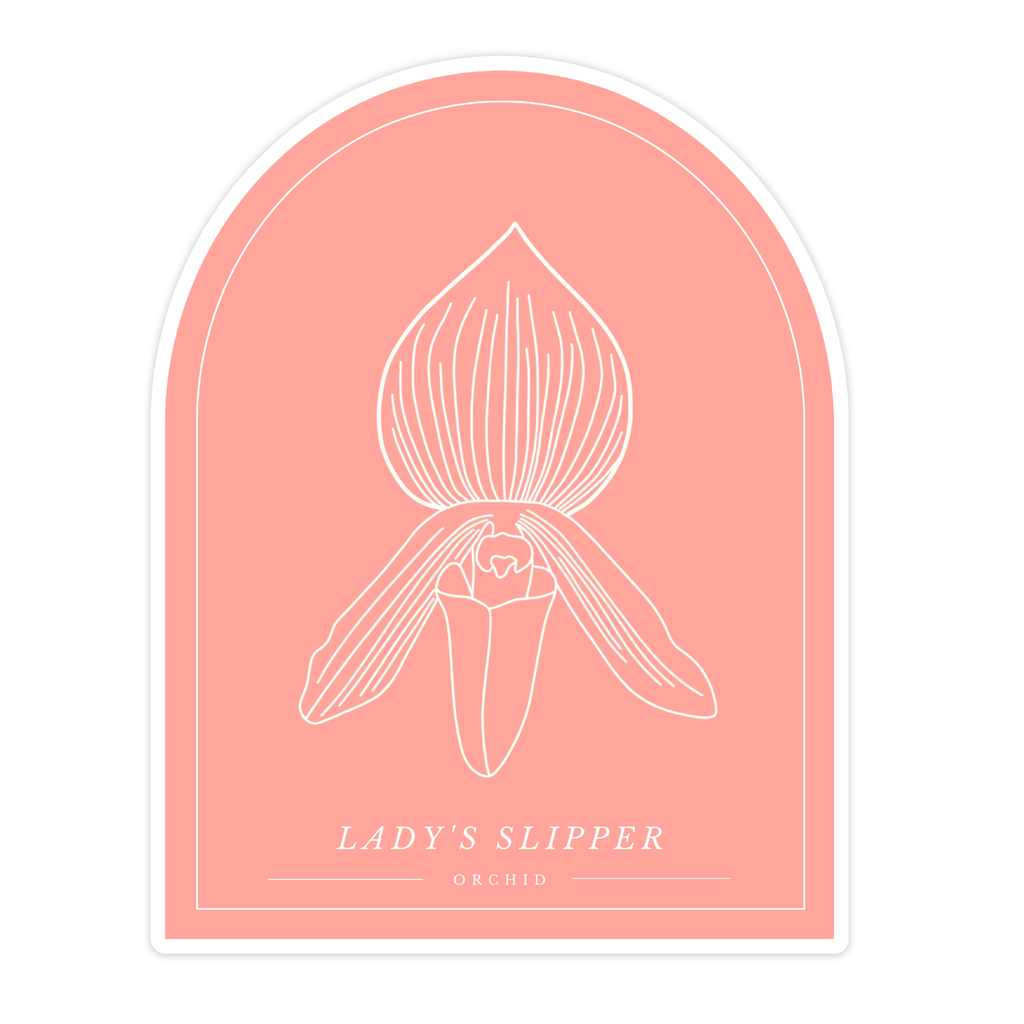 Lady's Slipper Orchid Sticker