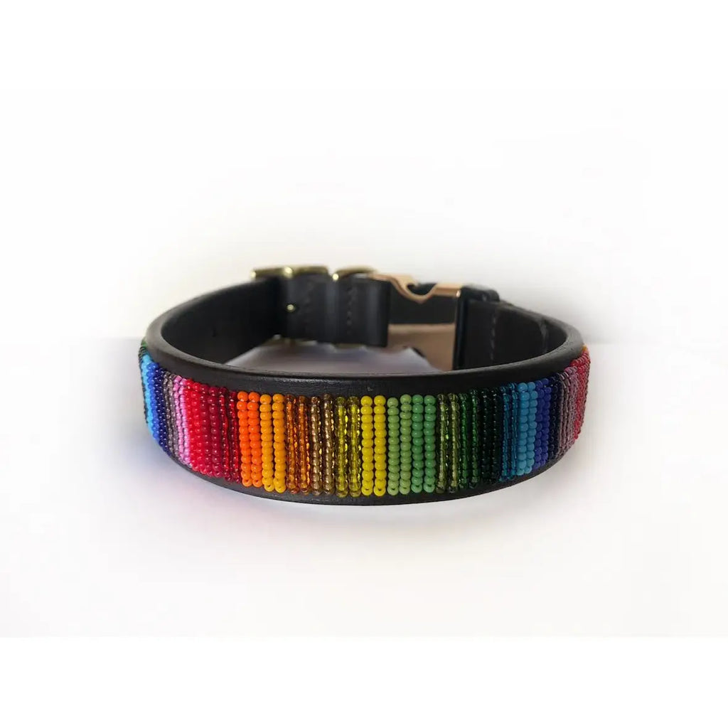 Rainbow Style-release Dog Collar- Size Medium